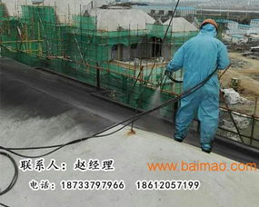 北京噴涂速凝防水涂料 技術(shù)轉(zhuǎn)讓、廠家直銷與網(wǎng)絡(luò)服務(wù)的一站式解決方案